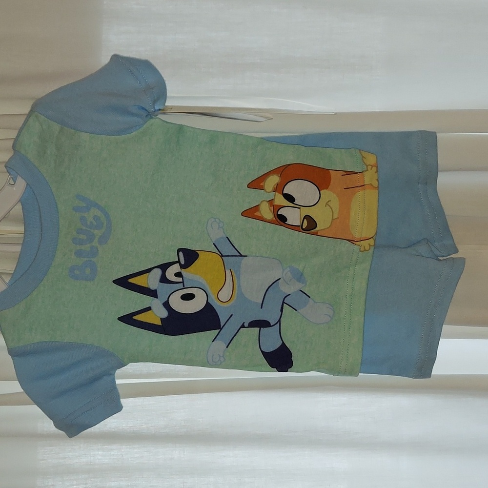 Bluey pj set